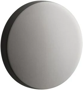 Discount ✔️ KOHLER Bathroom Sink Overflow Cap in Vibrant® Titanium 👍