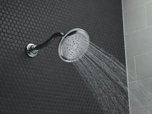 Best deal 🧨 KOHLER Artifacts® Shower Arm and Flange Polished Chrome 💯 - Image 5